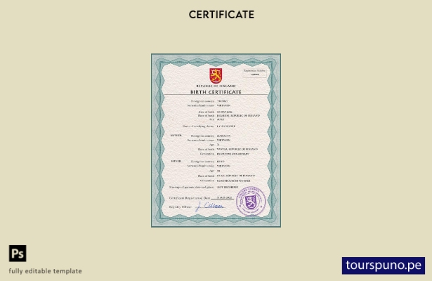 listo para imprimir plantilla PSD de certificado de nacimiento de registro ci 22